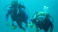 Essayez plongée sous-marine dans la belle mer d'Andaman