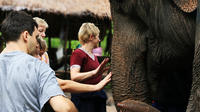 2-Day Elephant Experience from Chiang Mai
