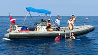 Private Chartertour: Kealakekua Bay schnorcheln und Schwimmen mit wilden Delfinen Private Chartertour: Kealakekua Bay schnorcheln und Schwimmen mit wilden Delfinen
