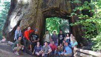 Yosemite 3-Day Camping Visite