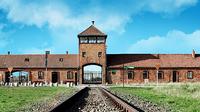 Auschwitz Shared Group Tour from Krakow