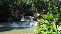 Jamaican South Coast Private Sightseeing Tour