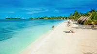 Negril Highlights Private Tour