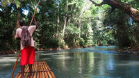 Private Dunn's River Falls and Martha Brae River Rafting Tour from Negril