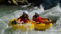 Private Tour: Rio Bueno River Rafting and Rocklands Bird Sanctuary in Jamaica