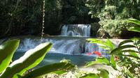 Private YS Falls Tour from Montego Bay