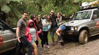 3-Day Great Ocean Road Camping Visite Y compris les Douze Apôtres, Loch Ard Gorge et Apollo Bay