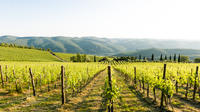 Tour and Tasting at an Organic Winery in the Heart of Chianti Classico Area 