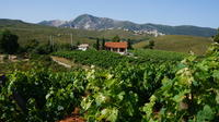 Day Tour Around Athens: Vineyards on the Trails of Classical Greece