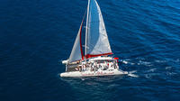 Full-Day Mega Catamaran Excursion to Bol Including Golden Horn