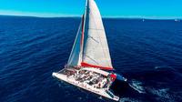 Full-Day Mega Catamaran Excursion to Hvar, Pakleni Islands, and Brac 