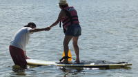 Stand Up Paddling in Lagoa da Conceição