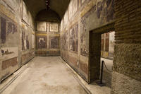 Billet coupe-file: visite de la Casa di Augusto, la Casa di Livia et du Colisée à Rome