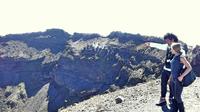 Vesuvius Tour With Optional Crater Adventure Hike