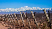 Excursão pela região vinícola de Lujan com almoço, saindo de Mendoza Excursão pela região vinícola de Lujan com almoço, saindo de Mendoza