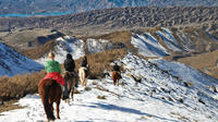 Excursion d'une journée Avec un vrai gaucho au départ de Mendoza : ranch de Don Daniel Excursion d'une journée Avec un vrai gaucho au départ de Mendoza : ranch de Don Daniel
