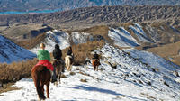 The Real Gaucho Day Trip from Mendoza: Don Daniel Ranch