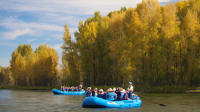 21-Mile Combo: Snake River-Scenic and Whitewater Trip