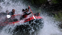 8-Mile Whitewater Snake River Rafting