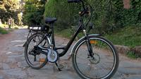 Imagen Alquiler de bicicletas: Parque Regional Appia Antica en Roma