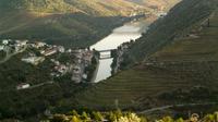 Douro Experience Private Tour