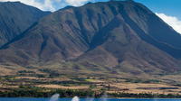 Observation des baleines du port de Lahaina