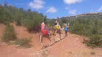 Excursion d'une journée privée de Marrakech: Camel Ride et Randonnée dans les montagnes du Haut Atlas