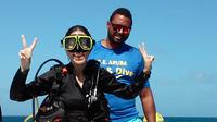 Aruba Discover Scuba Diving Course