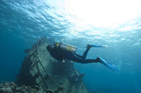 South Aruba 2-Tank Dive Experience