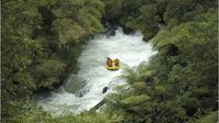 Kaituna Whitewater Rafting Adventure