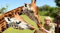 Trip Australia Day Zoo de la Gold Coast ou Brisbane