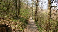 Medvednica Hiking and Chestnuts Picking Tour from Zagreb