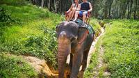 9-Night Essene Kerala Tour