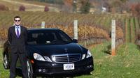 Weekday Virginia Private Custom Wine Tour from Charlottesville