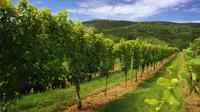 Weekday Virginia Private Custom Wine Tour from Charlottesville