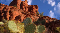 Sedona Red Rocks Jeep Adventure