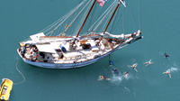 Whitsundays Day Sail Blue Pearl and Langford Reef