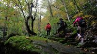 Vélo et randonnée pédestre Day Tour à Hida