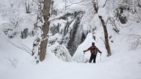 Winter White Forest and Frozen Waterfalls in Takayama with Snowshoeing