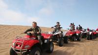 Luxor Desert Day Tour On Quad Bike