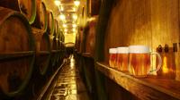 Private Tour: Brewery Pilsner Urquell from Prague