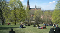 Swedish Lifestyle and Private Walking Tour of Uppsala
