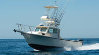 Three Quarter Day Private Fishing Charter from Dana Point