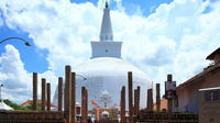 Private Day Tour: Anuradhapura and Mihintale from Dambulla