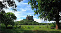 Private Day Tour: Sigiriya Rock and Dambulla Cave Temple Tour from Colombo