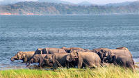 Private Tour: Yala National Park Safari