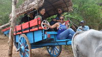 Private Village Tour Including Traditional Sri Lankan Lunch from Negombo