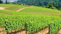 Luxury Group Wine Tour of Willamette Valley
