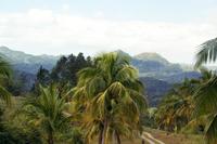 Ocho Rios Shore Excursion: Best of Jamaica Highlights Tour