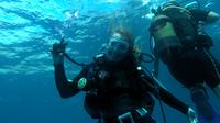 Experiencia de submarinismo en Mallorca en Portocolom